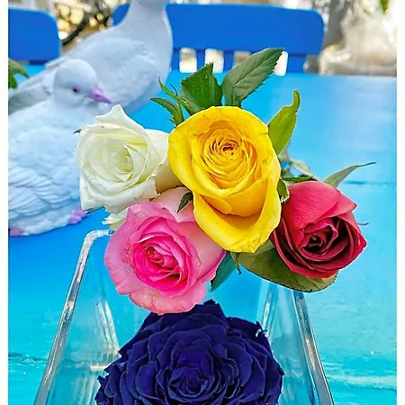 Bodrum Sade Otel Hotel Bodrum