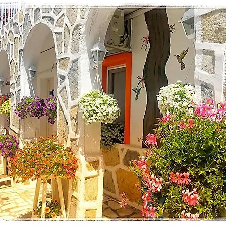 Bodrum Sade Otel 2* Bodrum