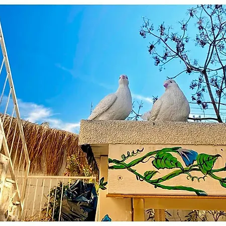 Bodrum Sade Otel 2* Bodrum